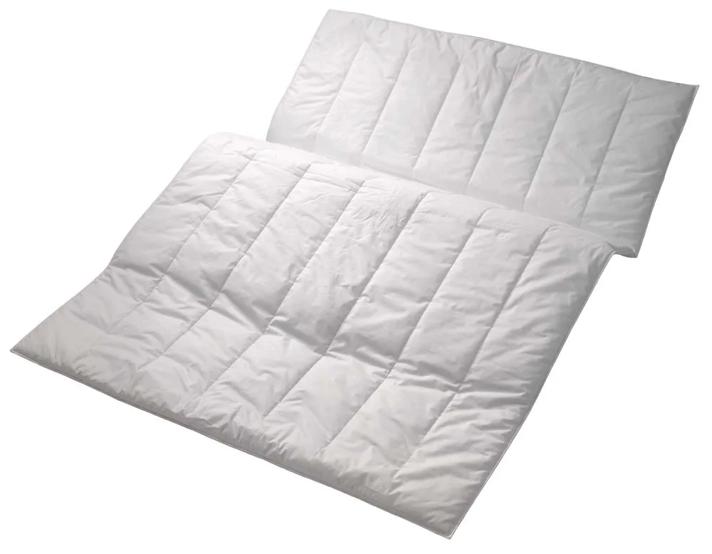 biller-255818