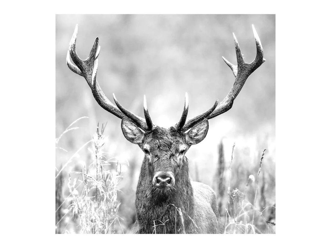 biller-263219