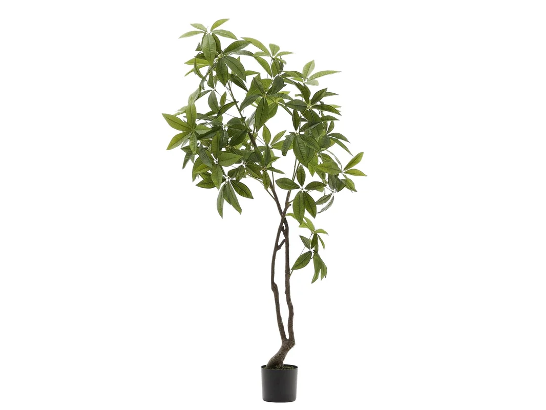 biller-334967