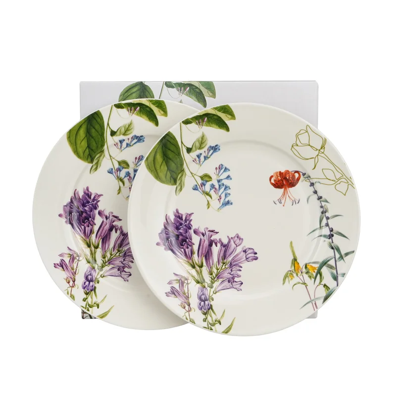 finesio1-360025