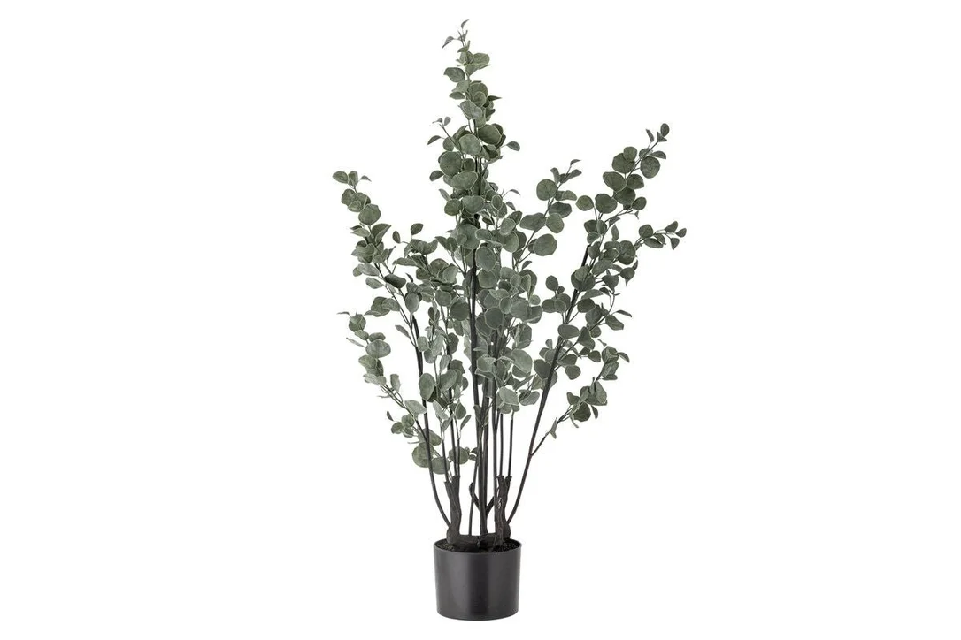 luxusbetten24-2262023