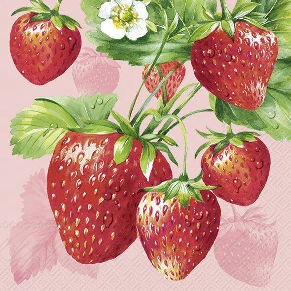 obstmarktno6-127429